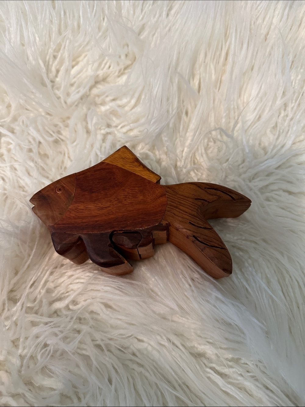 Wooden Fish Puzzle Box - Brown